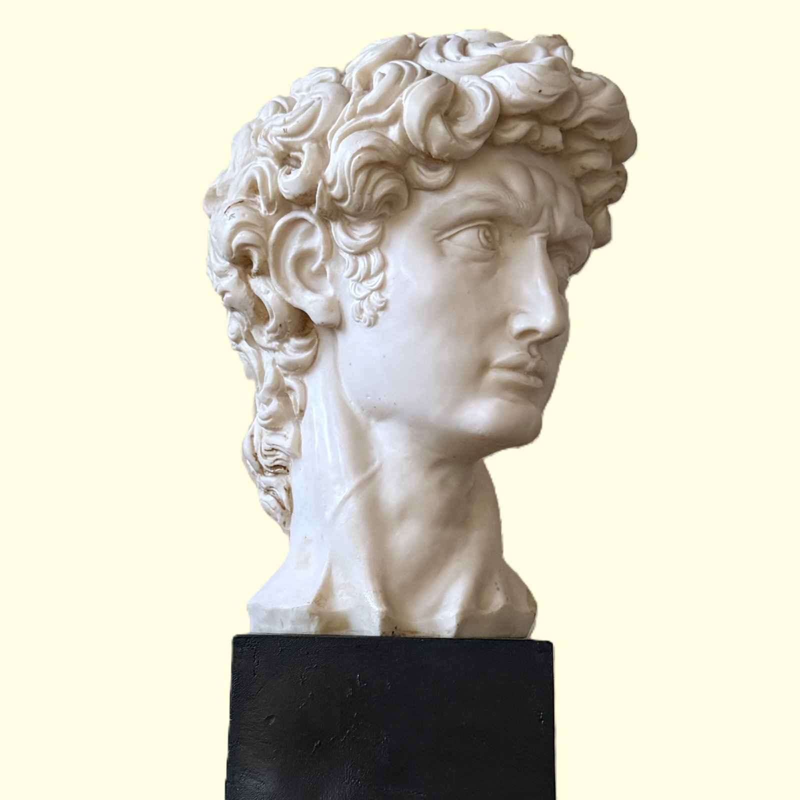 Vintage Replica Head of Michelangelo's David Statue